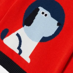 Baby boy sweater