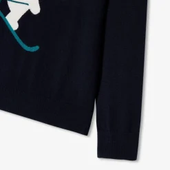 Boy bear sweater