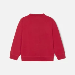 Boy sweater