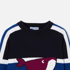 Boy sweater