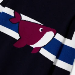 Boy sweater