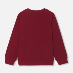 Boy sweatshirt