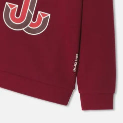 Boy sweatshirt