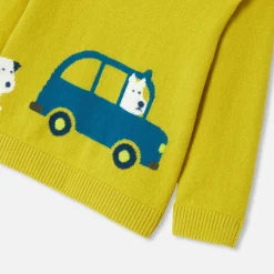 Fancy Intarsia baby boy sweater